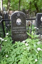 Лейзерович Самуил Соломонович, Москва, Востряковское кладбище